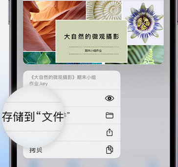 宁陕apple维修中心分享iPhone文件应用中存储和找到下载文件