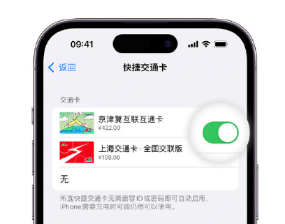 宁陕apple维修点分享iPhone上更换Apple Pay快捷交通卡手绘卡面 