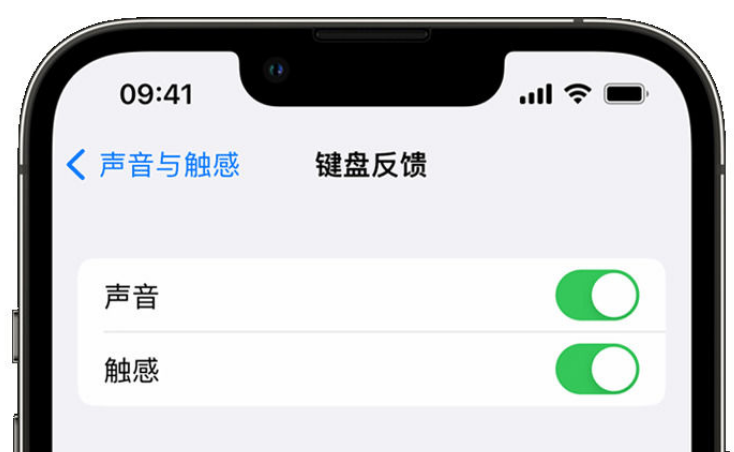 宁陕苹果手机维修分享iPhone 14触感键盘使用方法 