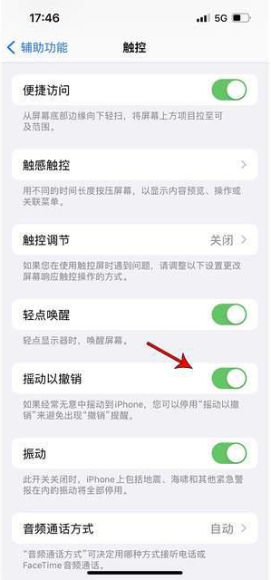 宁陕苹果手机维修分享iPhone手机如何设置摇一摇删除文字 